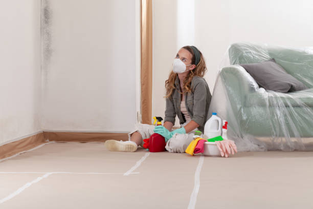 Reliable Mold Removal contractor in Shiloh, NC by WQB Mold Removal